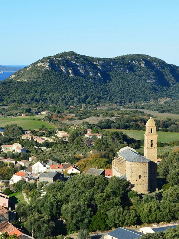 Vignobles de Patrimonio